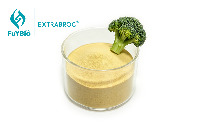 Broccoli Seeds Extract